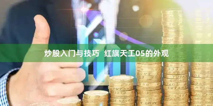 炒股入门与技巧  红旗天工05的外观