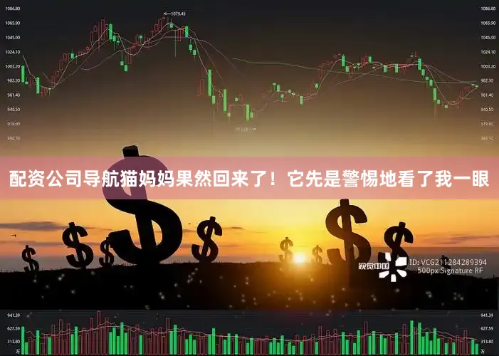 配资公司导航猫妈妈果然回来了！它先是警惕地看了我一眼